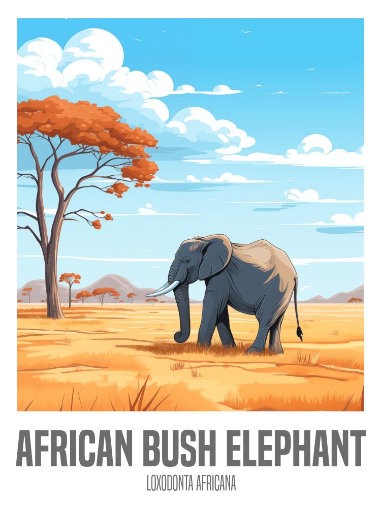 wandbilder-tiere-leinwand-poster-african-bush-elephant-12